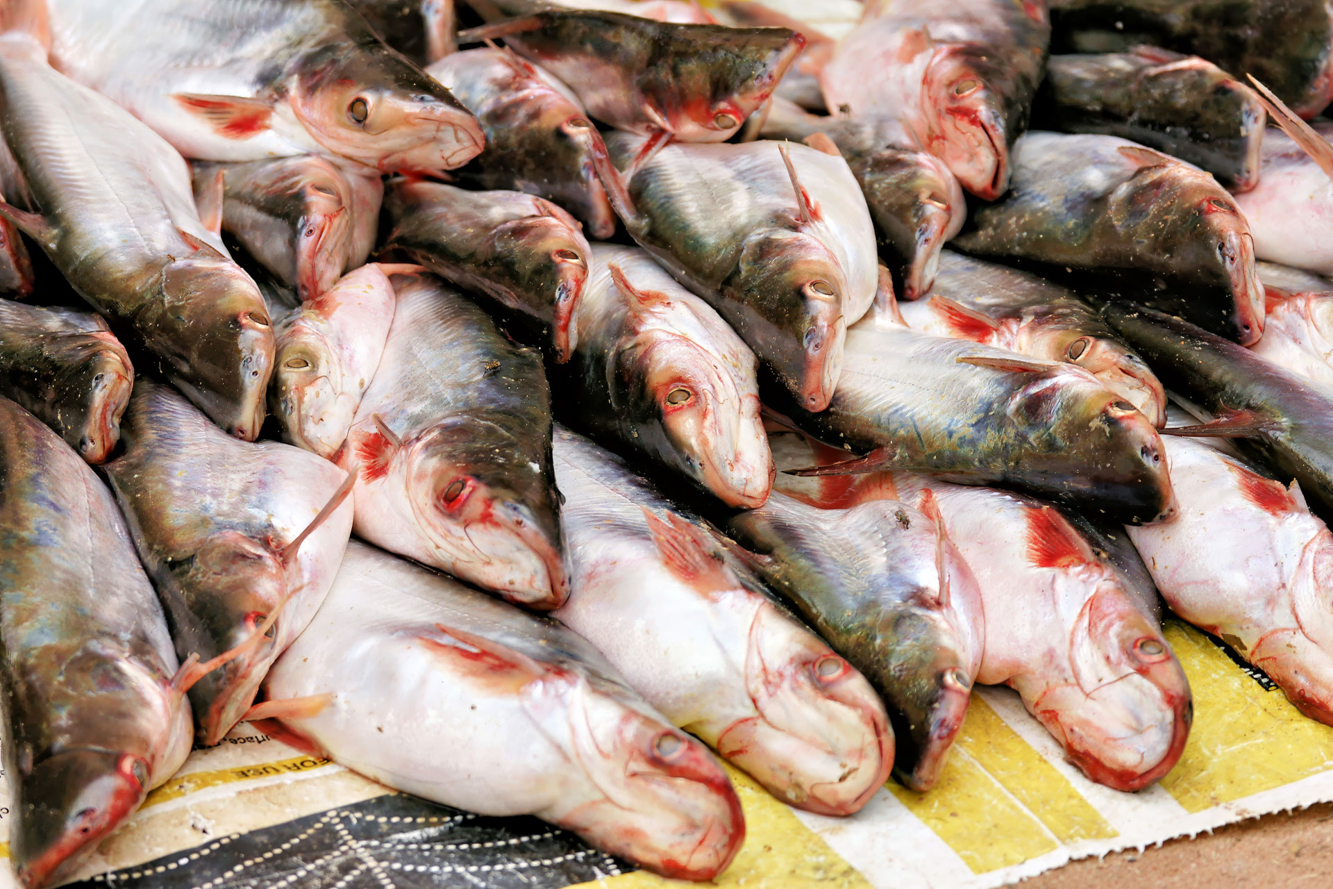 Auf dem Markt des Dorfs Preah Dak im Gebiet von Angkor